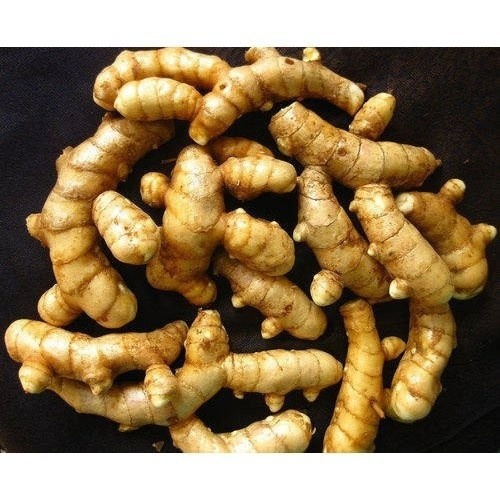 Mango Ginger